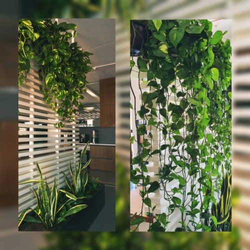 Serviced Offices & Co-working Space in Birkirkara
